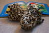 Norty Women Men Soft Plush Fun Winter Animal Claw Paw Feet Indoor Slippers