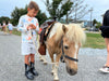 NORTY Boy's Girl's Unisex Western Cowboy Boot for Toddlers, Little Kids and Big Kids