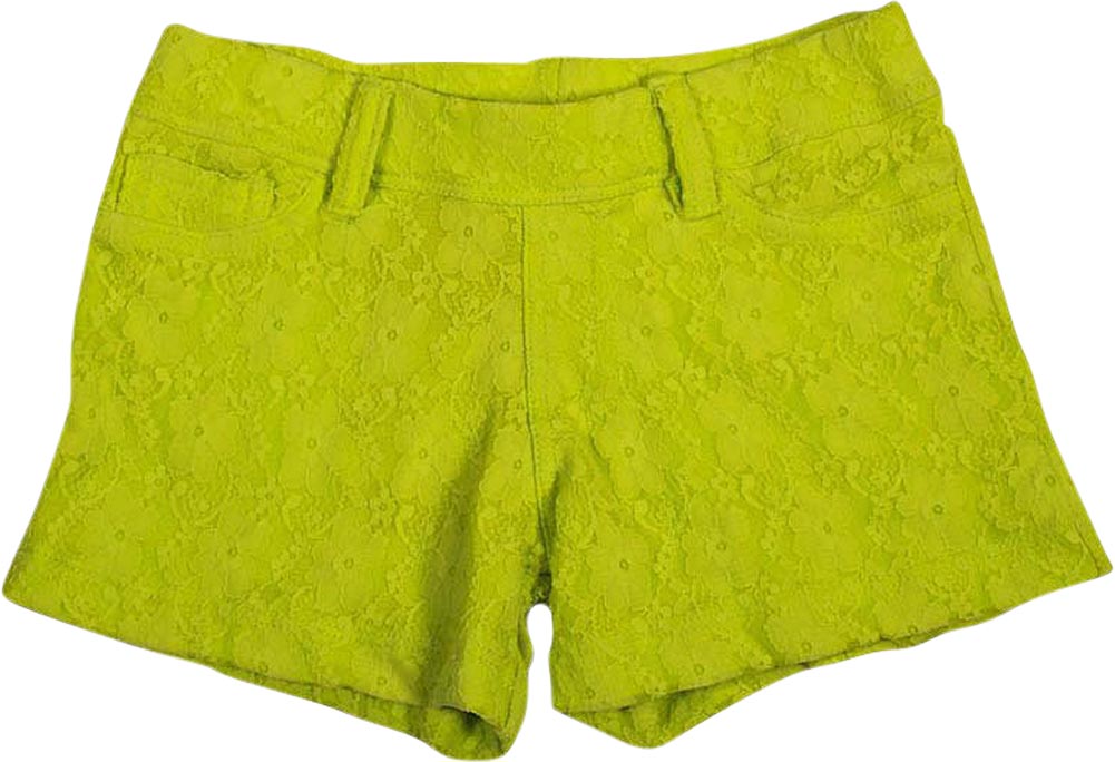 Flowers by Zoe Girls Sizes 4 - 10 Lace Shorts